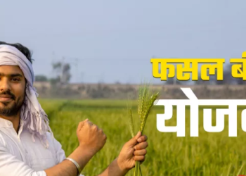 फसल बीमा योजना के तहत 15 अगस्त तक करवाएं बीमा