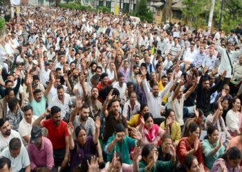 शिमला में बिजली बोर्ड कर्मचारियों का हल्ला बोल, OPS बहाली और नियमित भर्ती समेत इन 9 मांगों को लेकर किया प्रदर्शन