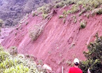 Solan: नालागढ़-शिमला मार्ग पर भयंकर लैंडस्लाइड…15 फुट धंसी सड़क, चिकनी खड्ड में बनी झील ने बढ़ाई लोगों की टैंशन