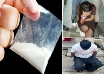 शिमला के कृष्णानगर और रोहड़ू में चिट्टे की खेप बरामद, 21 साल की युवती सहित 3 गिरफ्तार