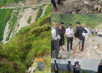 सेब से लदी पिकअप खाई में गिरी, वाहन में चालक समेत 2 लोग थे सवार, मौके पर पहुंचे नायब तहसीलदार