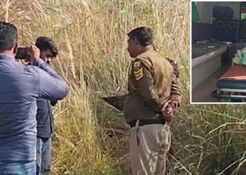 हिमाचल में लावारिस छोड़ा नवजात : सुबह 4 बजे ग्रामीणों ने सुनी रोने की आवाज, मां को ढूंढ रही पुलिस