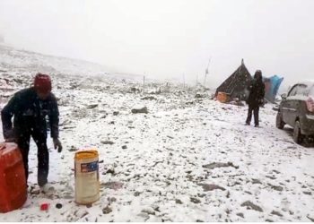 Himachal: किन्नौर की चोटियों पर सीजन का पहला हिमपात, बारिश और ठंड ने बढ़ाई सेब बागवानों की चिंता