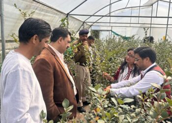 मनमोहन शर्मा ने धारों की धार में प्रगतिशील बागवान करण सिंह द्वारा स्थापित ब्लूबेरी फ्रंट लाइन डेमोंस्ट्रेशन इकाई का किया दौरा