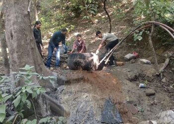 पांवटा साहिब: वन विभाग की बड़ी कार्रवाई, 450 लीटर लाहन नष्ट; अवैध शराब बनाने वाली भट्टी का भंडाफोड़