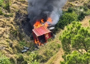 शिलाई-नाया रोड पर केलात के पास हादसा, बैक करते समय खाई में गिरी पिकअप, चालक ने छलांग लगाकर बचाई जान