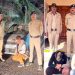 Shimla: जुब्बल और कोटखाई में नशे के खिलाफ पुलिस का बड़ा एक्शन, अफीम व चिट्टे के साथ 3 तस्कर गिरफ्तार