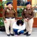 Himachal: शिमला में 56 ग्राम चिट्टे के साथ बिलासपुर की महिला तस्कर गिरफ्तार, किराए के कमरे में छिपाई थी खेप